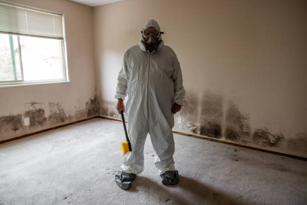 Best Crawl Space Mold Removal  in York, NE